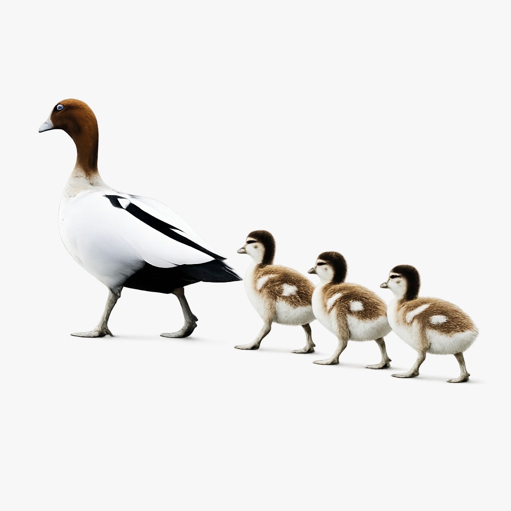 Technical Architecture